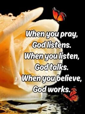 Meet your Posher, Tammy